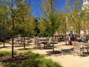 If you're looking for fresh air and excitement study in Alumni plaza. 