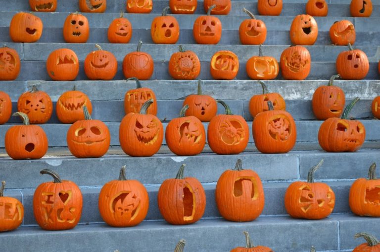 PumpkinMania 2016 photo gallery