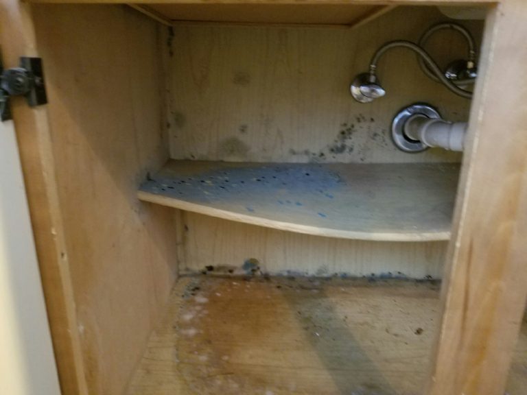 Residence Life, Physical Plant address mold problem