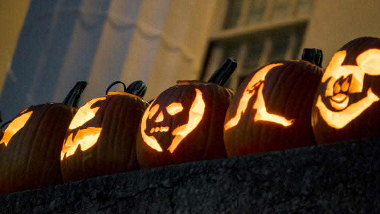 Photo Gallery: PumpkinMania!