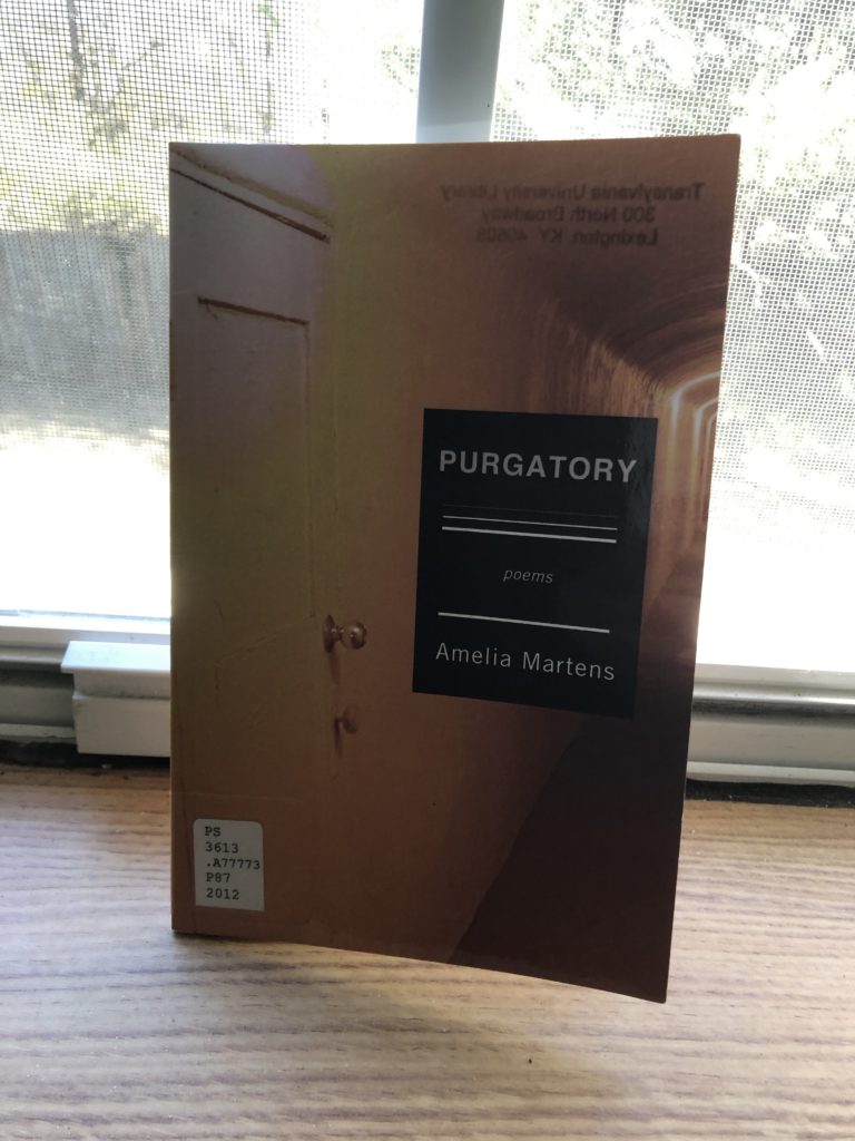 Lit Review: Purgatory