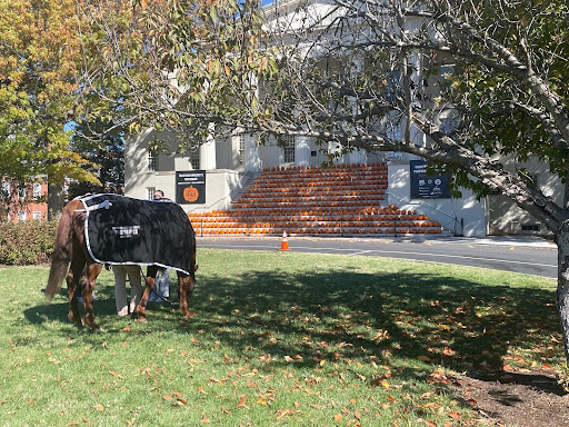 Hold Your Horses; Transy Eventing Shows Out On Campus